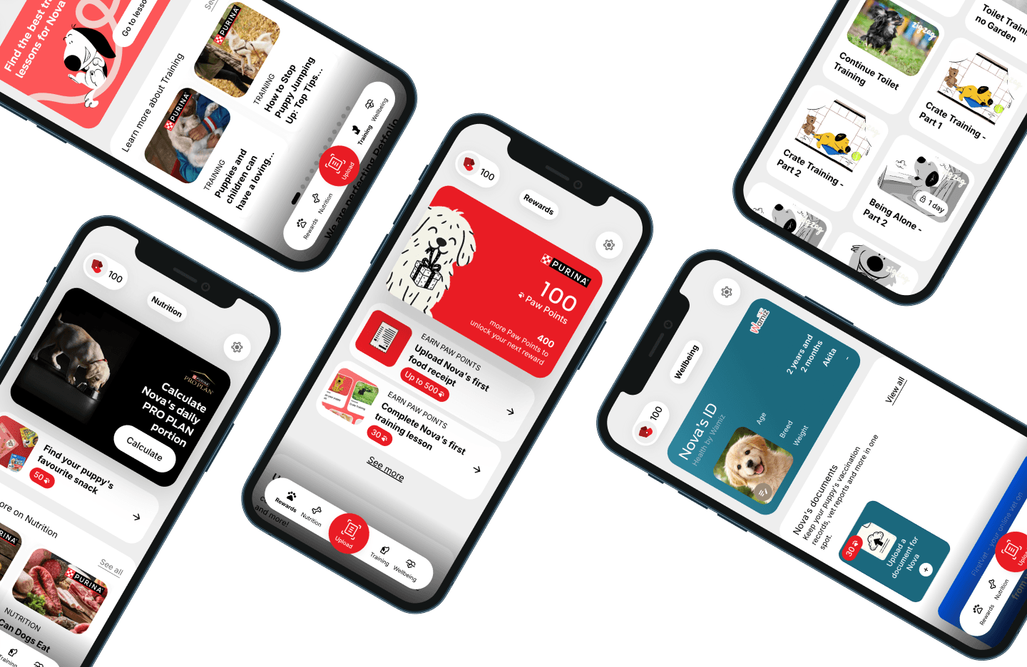 Five smartphones display a pet-related app interface with various features, including pet details, news, and a lost pet alert.